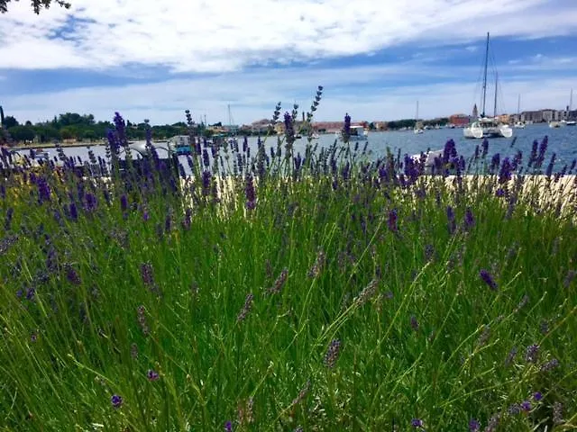 Mirella Apartamento *